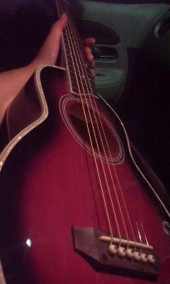 P1000136.jpg